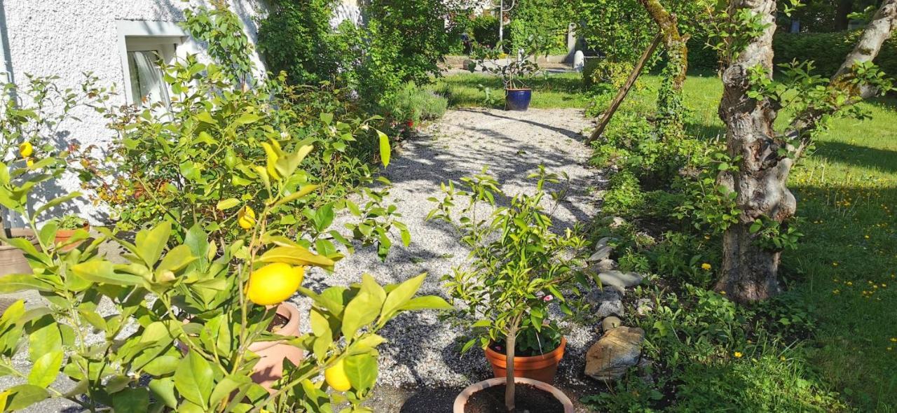 Villa Rosen - Ferienwohnungen Bad Reichenhall Exterior foto