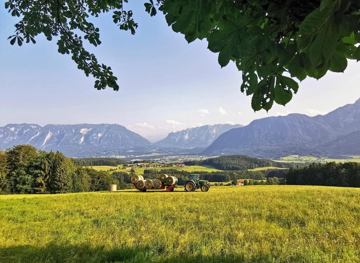 Villa Rosen - Ferienwohnungen Bad Reichenhall Exterior foto